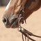 Classic Equine Classic Equine 7 1/2" Cheek Dogbone Bit
