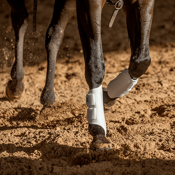 Classic Equine Classic Equine AirWave Splint Boots