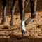 Classic Equine Classic Equine AirWave Splint Boots
