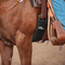 Classic Equine Classic Equine Aura Roper Cinch