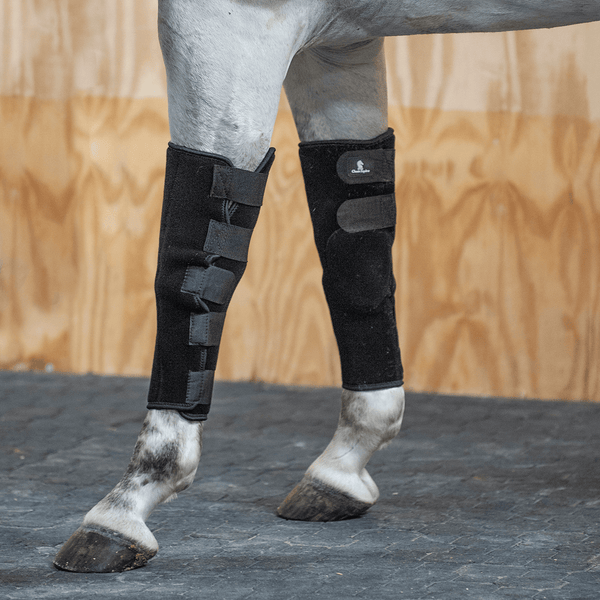 Classic Equine Classic Equine Breeding Boots