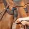 Classic Equine Classic Equine Cinch and Latigo Protector