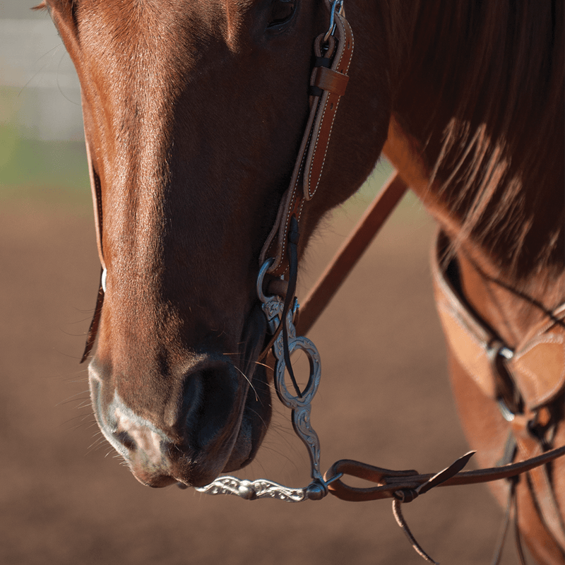 Classic Equine Classic Equine Cowhorse Collection 2 1/2" San Joaquin Port with Tongue Relief Bit