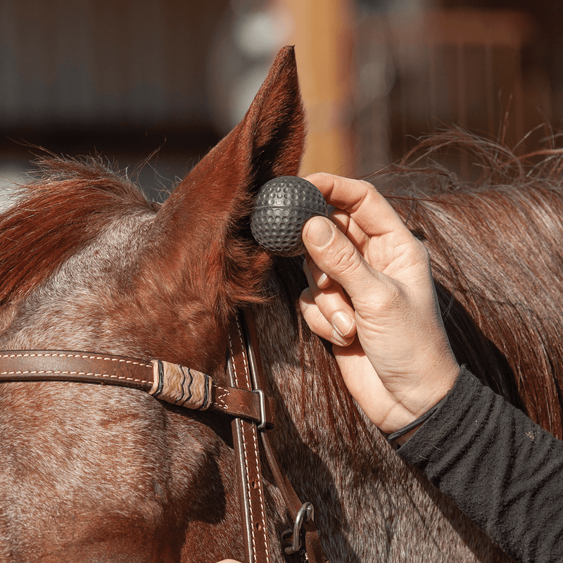 Classic Equine Classic Equine Ear Plugs