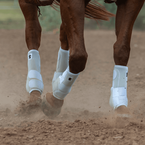 Classic Equine Classic Equine Flexion Boots