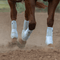Classic Equine Classic Equine Flexion Boots