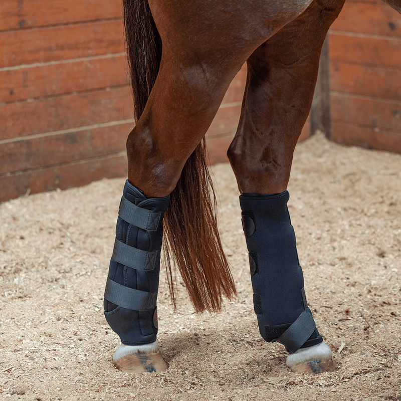 Classic Equine Classic Equine Ice Boots
