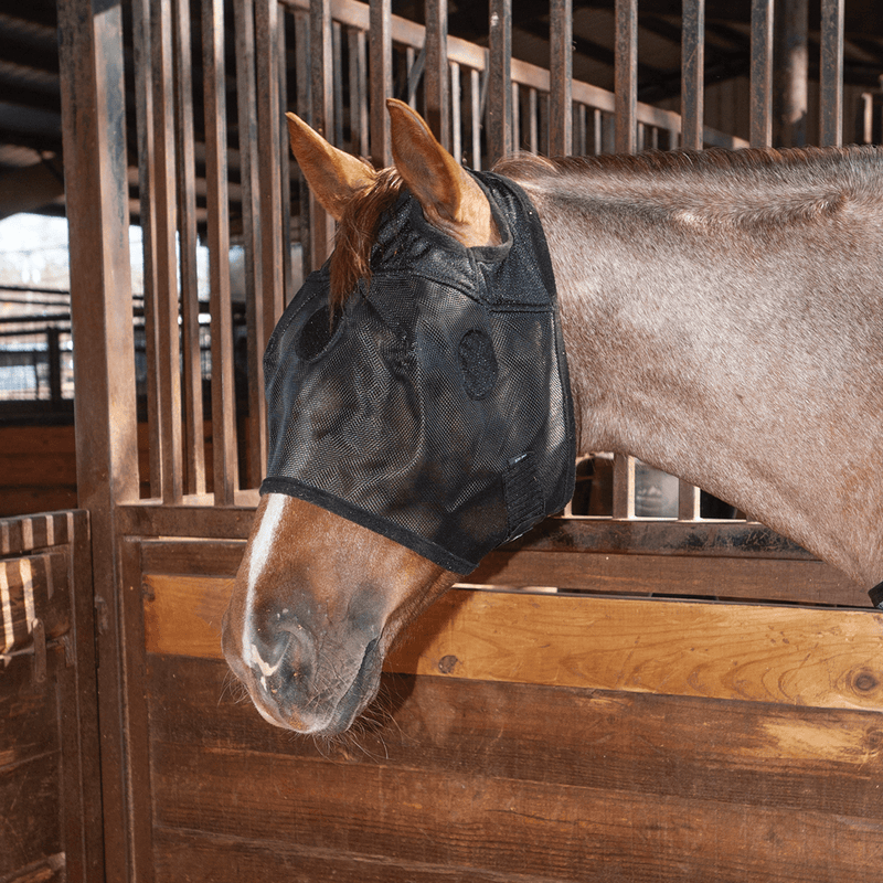 Classic Equine Classic Equine MagNTX Mask