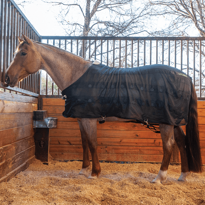 Classic Equine Classic Equine MagNTX Sheet