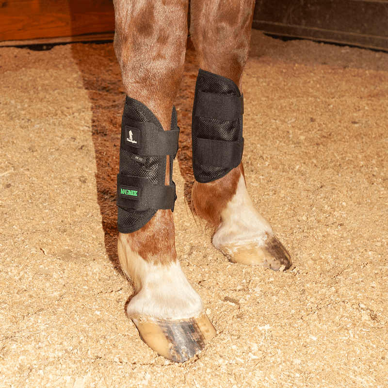Classic Equine Classic Equine MagNTX Tendon Wrap