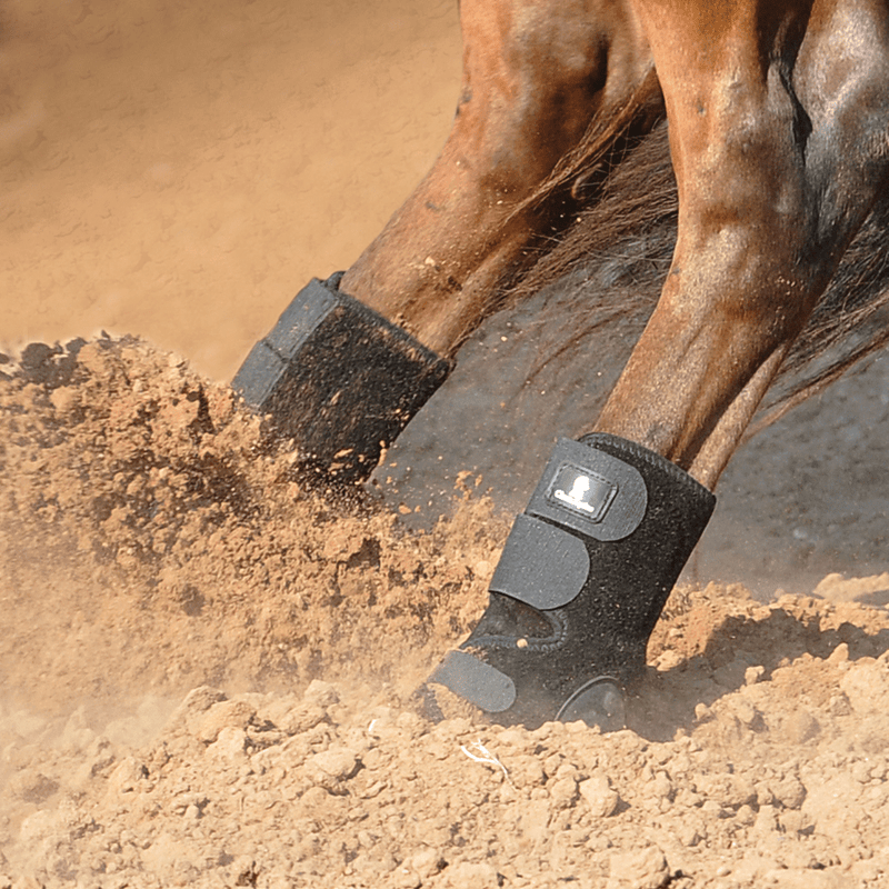 Classic Equine Classic Equine Neoprene Skid Boots
