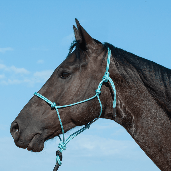 Classic Equine Classic Equine Premium Rope Halter