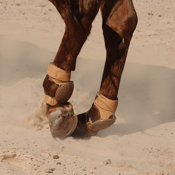 Classic Equine Classic Equine Pro Reiner Skid Boots