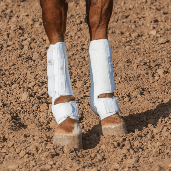 Classic Equine Classic Equine ProTech Hind Boots