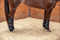 Classic Equine Classic Equine Quick Wraps