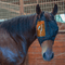 Classic Equine Classic Equine REM Restoration Equine Mask - Left Eye Patch