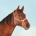 Classic Equine Classic Equine Rope Nose Halter with Lead