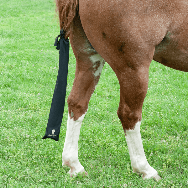 Tail Bags – Hay River Tack and Supplies