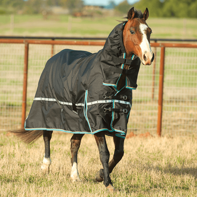 Classic Equine Classic Equine Windbreaker Hooded Turnout Blanket