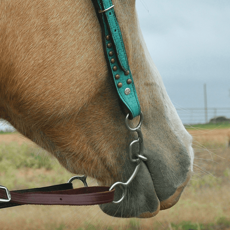 Classic Equine Goostree Delight Chain Snaffle Bit