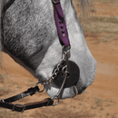 Classic Equine Goostree Pickup Twisted Snaffle Long Shank Bit