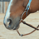 Classic Equine Goostree Simplicity Chain Snaffle Bit