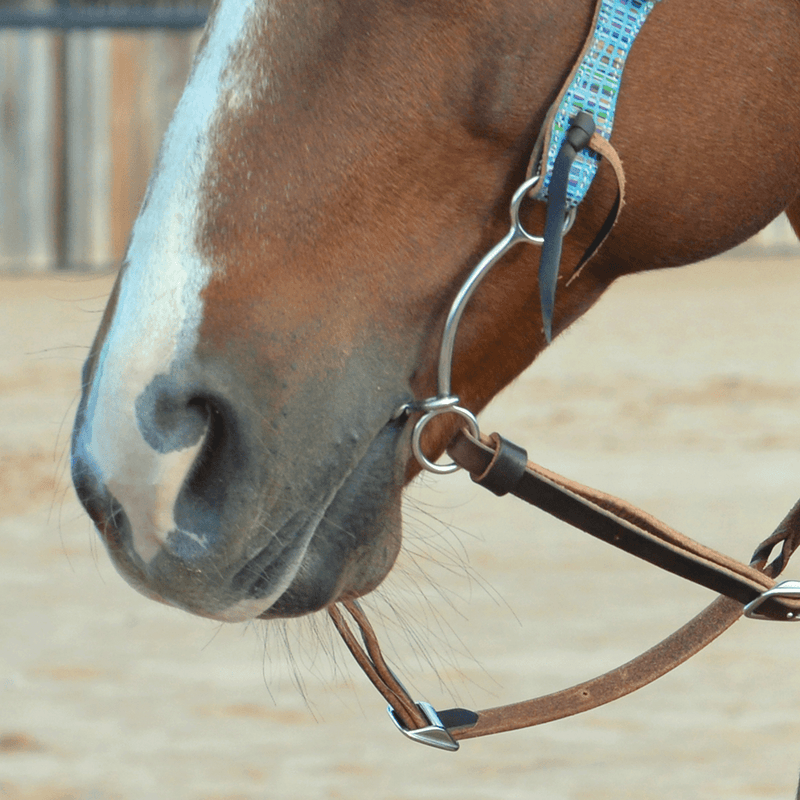 Classic Equine Goostree Simplicity Twisted Snaffle Bit
