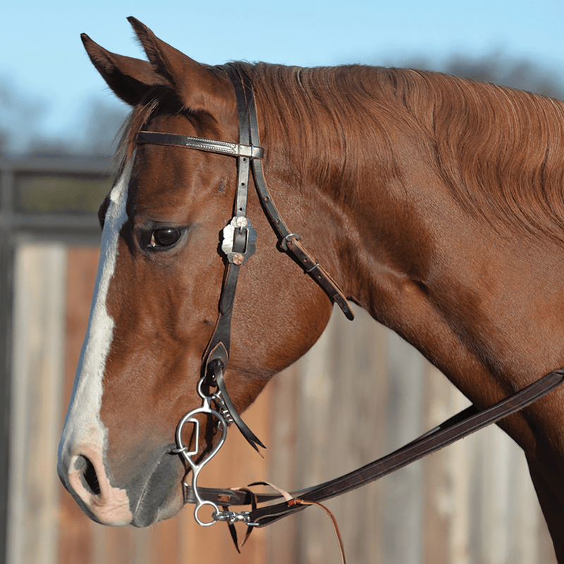 Classic Equine Les Vogt Turbo Collection Snaffle Bit