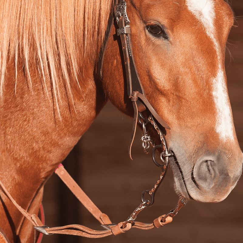 Classic Equine Sherry Cervi Diamond Small Twisted 3 pc Long Shank II Bit