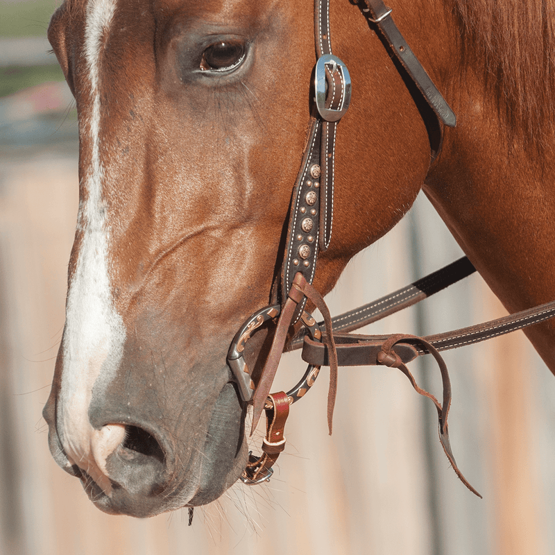Classic Equine Sherry Cervi Diamond Smooth Snaffle Dee Ring