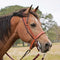 Cowboy Tack Cowboy Tack 1 1/4″ Harness Leather Cowboy Knot Slip Ear Headstall