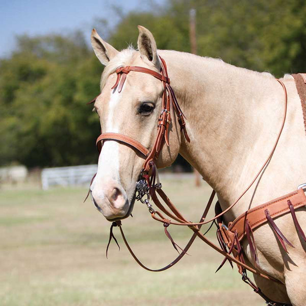 Cowboy Tack Cowboy Tack 1″ Leather Covered Single Rope Noseband