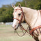 Cowboy Tack Cowboy Tack 1″ Leather Covered Single Rope Noseband
