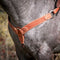 Cowboy Tack Cowboy Tack 2″ Golden Leather Spider Stamp Breast Collar