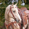 Cowboy Tack Cowboy Tack 3/8″ Single Rope Noseband
