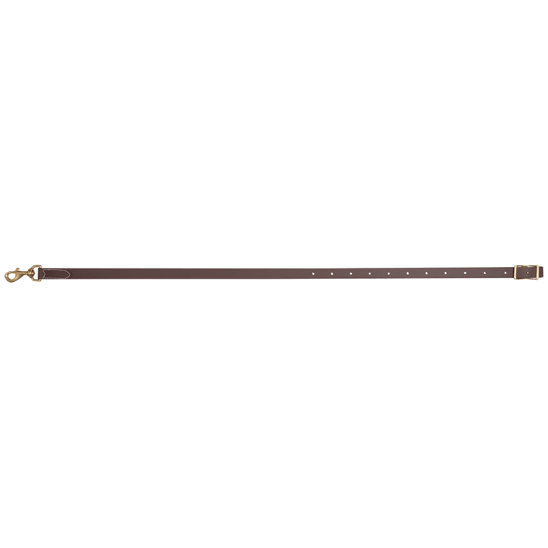 Martin Saddlery Martin Saddlery 1" Biothane Tiedown Strap
