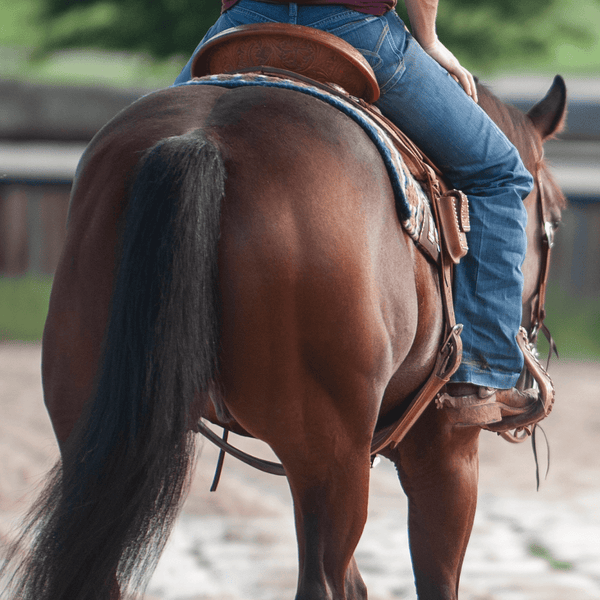Martin Saddlery Martin Saddlery Bell Bottom Stirrups