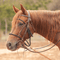 Martin Saddlery Martin Saddlery Bonnet