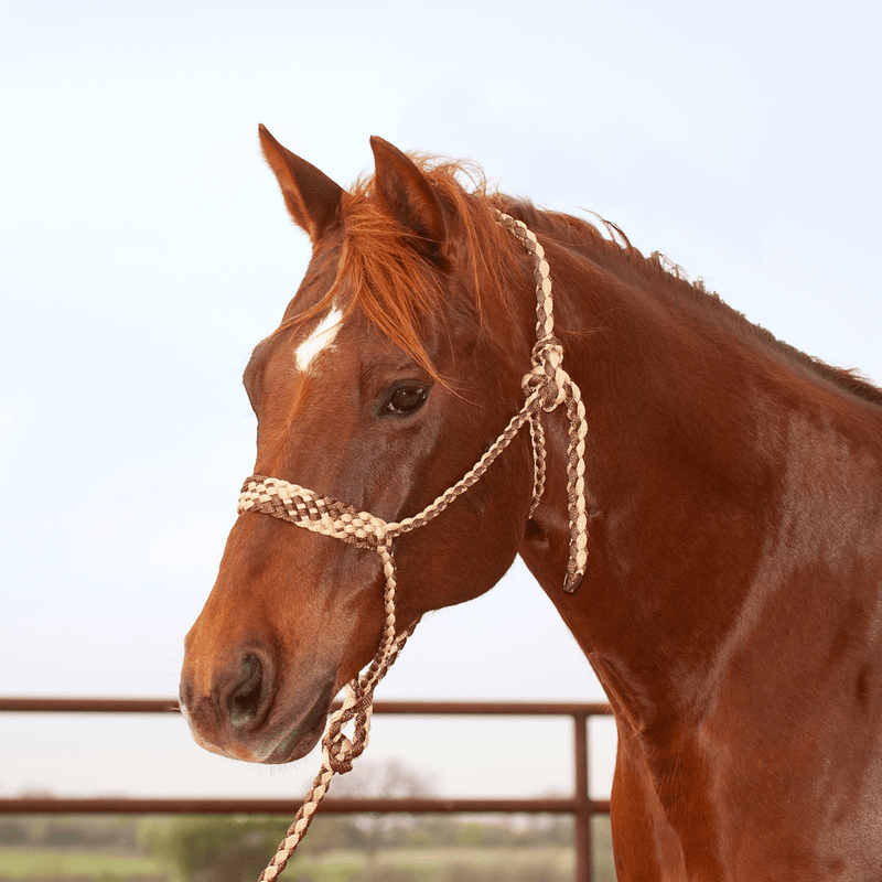 Martin Saddlery Martin Saddlery Braided Rope Halter with Lead