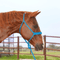 Martin Saddlery Martin Saddlery Braided Rope Halter with Lead