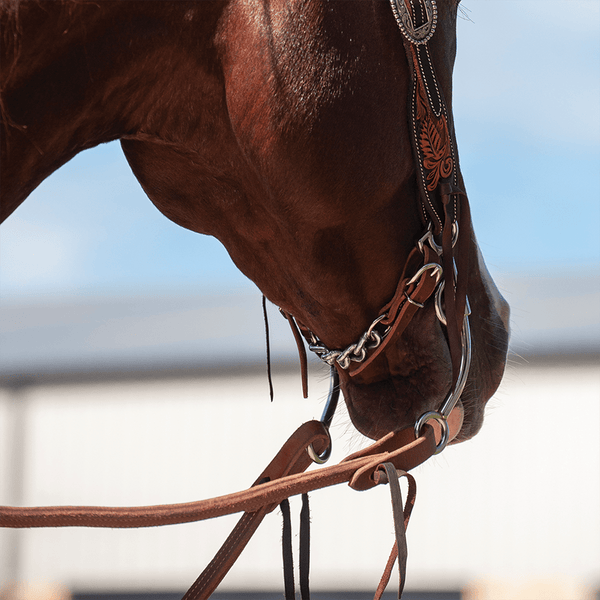Martin Saddlery Martin Saddlery Latigo/Chain Curb Strap