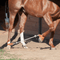 Martin Saddlery Martin Saddlery Sideline Hobble
