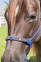 Professional's Choice Beaded Rope Halter
