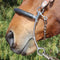 Professional's Choice Professional's Choice Brittany Pozzi Gag Series - Smooth Snaffle
