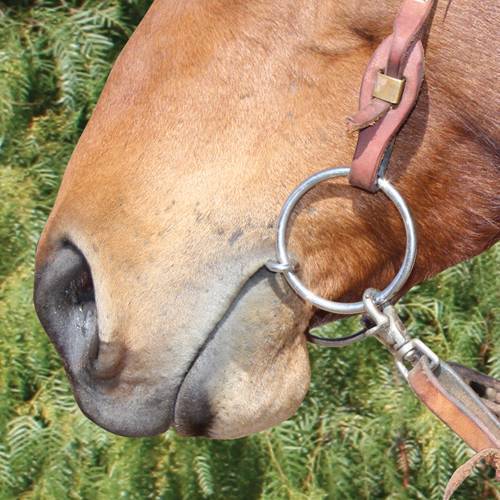 Professional's Choice Professional's Choice Brittany Pozzi Gag Series - Smooth Snaffle