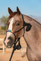 Professional's Choice Professional's Choice Cowboy Braided Rope Halter