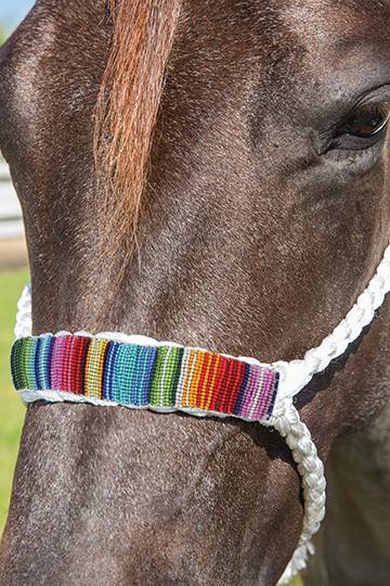 Professional's Choice Professional's Choice Cowboy Braided Rope Halter