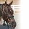Professional's Choice Professional's Choice Cowboy Braided Rope Halter