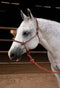 Professional's Choice Professional's Choice Easy On Rope Halter
