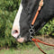 Professional's Choice Professional's Choice Equisential Performance Short Shank Bit - Twisted Wire Snaffle
